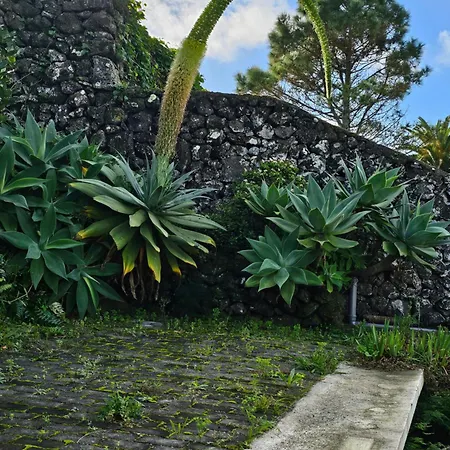 Hébergement de vacances Casa Baleia A Vista *